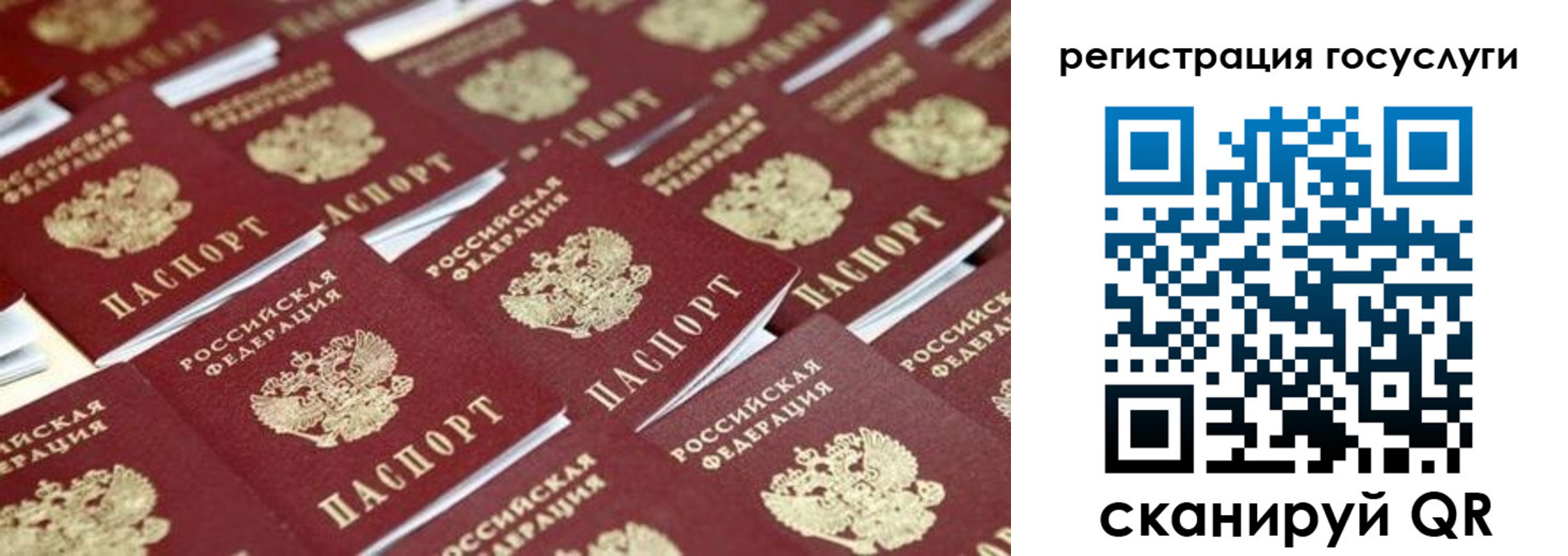 прописка ребенка в Новодвинске